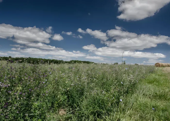 Maison Campagne Avec Piscine Et La Salvetat-Belmontet